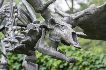 Megaloceros giganteus - The skeleton of the prey.