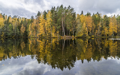Fototapeta na wymiar Beautiful fall landscape next to calm lake
