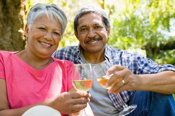 Senior couple toasting wine glasses at the park