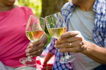 Senior couple toasting wine glasses at the park