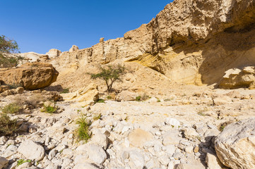 Fototapeta na wymiar Stone desert in Israel