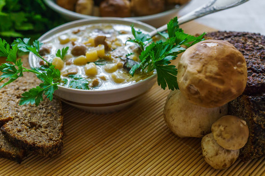 Homemade soup with mushrooms and sour cream, on the table.