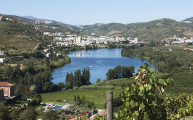 Landscape view of a vineyard and river in the valley of Douro, Portugal