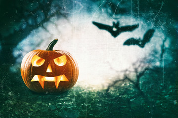 Halloween concept of pumpkin against flying bats