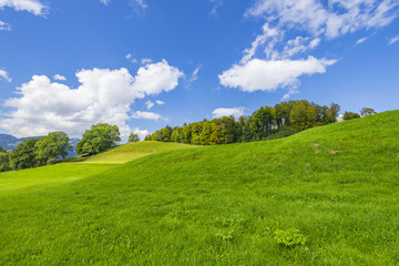 Autumn Impressions at Sonthofen / Bavaria