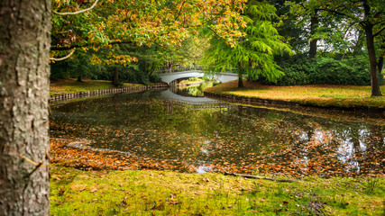 Detail of the Palace Park in Apeldoorn near 't Loo. One of the most beautiful parks on the Veluwe