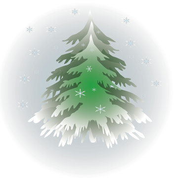 evergreen tree with snowflakes falling winter illustration