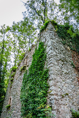 Ruines à Peyrusse-le-Roc
