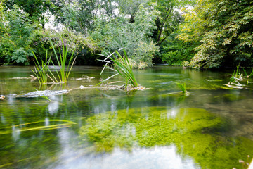 River Itchen in Eastleigh, Hampshire, UK