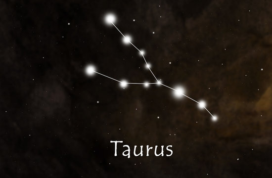 Taurus horoscope or zodiac or constellation illustration