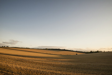 Fototapeta na wymiar Freshly harvested fields of barley in countryside landscape bathed in sunset light