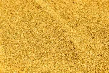 dried rice with soft focus to use as a background