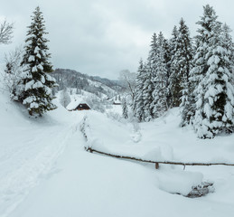 Winter Carpathian Mountains landscape.
