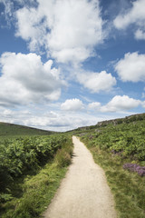 Beautiful vibrant landscape image of Burbage Edge and Rocks in Summer in Peak District England