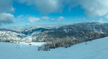 Fototapeta premium Winter Carpathian Mountains landscape, Ukraine.