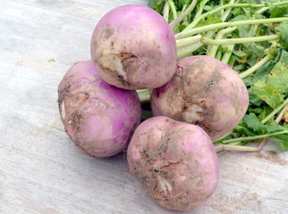 navets roses bio,isolé fond bois