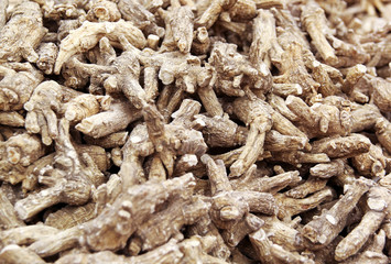 Chinese Herbal medicine - American Ginseng roots (Panax quinquefolius) 