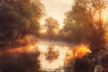 Beautiful golden morning on the foggy river