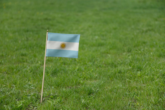 Argentina flag,  Argentinian flag on a green grass lawn field background. National flag of  Argentina waving outdoors