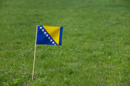 Bosnia and Herzegovina flag, Bosnian flag on a green grass lawn field background. National flag of Bosnia and Herzegovina waving outdoor