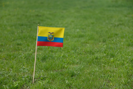 Ecuador flag, Ecuadorian flag on a green grass lawn field background. National flag of Ecuador waving outdoor