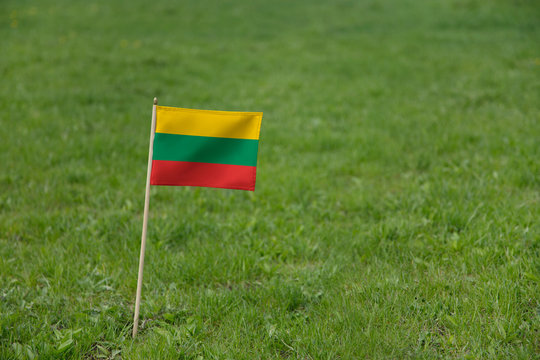 Lithuania flag, Lithuanian flag on a green grass lawn field background. National flag of Lithuania waving outdoor