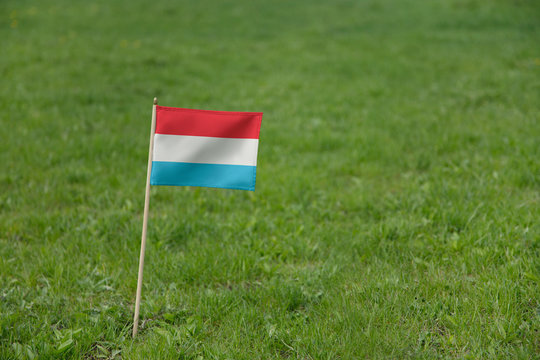 Luxembourg flag, Luxembourg flag on a green grass lawn field background. National flag waving outdoor