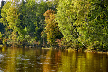 Fototapeta na wymiar River Gauja, Latvia