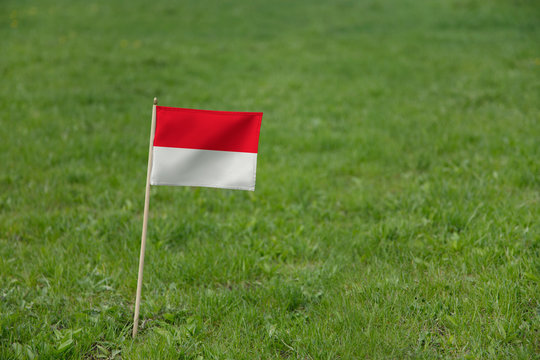 Monaco flag on a green grass lawn field background. National flag of Monaco waving outdoor