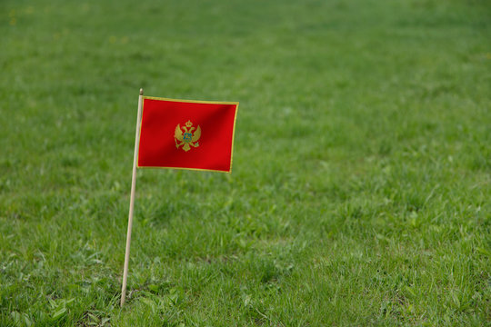 Montenegro flag on a green grass lawn field background. National flag of Montenegro waving outdoor