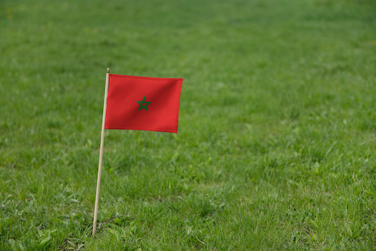 Morocco flag, Moroccan flag on a green grass lawn field background. National flag of Morocco waving outdoor