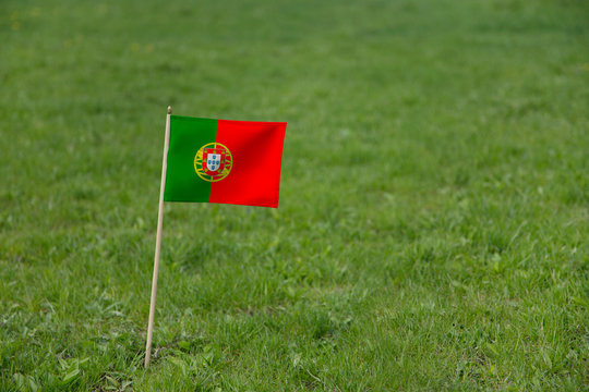 Portugal flag, Portuguese flag on a green grass lawn field background. National flag of Portugal waving outdoor
