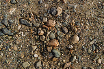Stones on the ground. Abstract nature background. Stony ground. Soil background. Stones