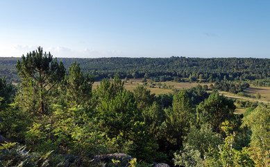 Fototapeta na wymiar plaine de Chanfroy en forêt de Fontainebleau