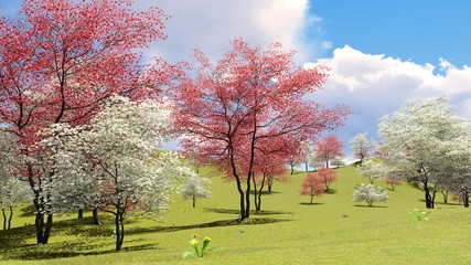 Flowering dogwood trees in orchard in spring time 3d rendering - 175813935