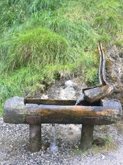 abbeveratoio in legno nella natura