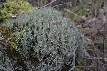 на Азов горе