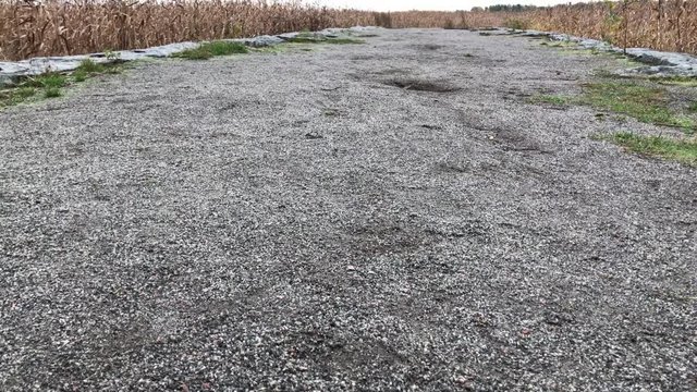 Cold morning in autumn at bay with straws. Footage taken from dock what is made of sand and stones 
