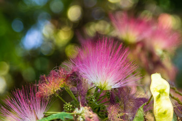 Retiro Park in Madrid