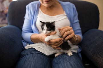Obraz premium Midsection of senior woman stroking kitten while sitting on