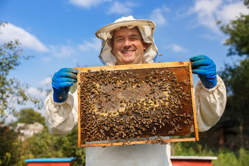 beekeeper with honeycomb - obrazy, fototapety, plakaty