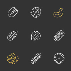 Nuts types chalk icons set