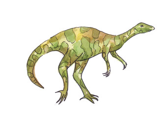 Watercolor illustration of dinosaur. Green allosaurus