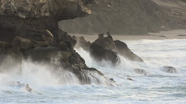 Fuerteventura