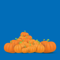 autumn vector orange pumpkins border design template for banners and thanksgiving day backgrounds.