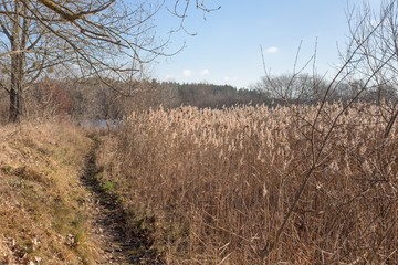 Small path in the swampland
