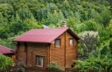 Cottage from logs in the forest
