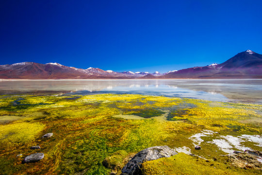 View on Lagoon Blanco amd mountain of the Andes in the Altiplano of Bolivia