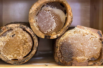Comb honey in a hollow log