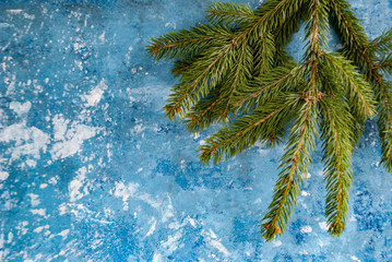 fir tree on a blue background